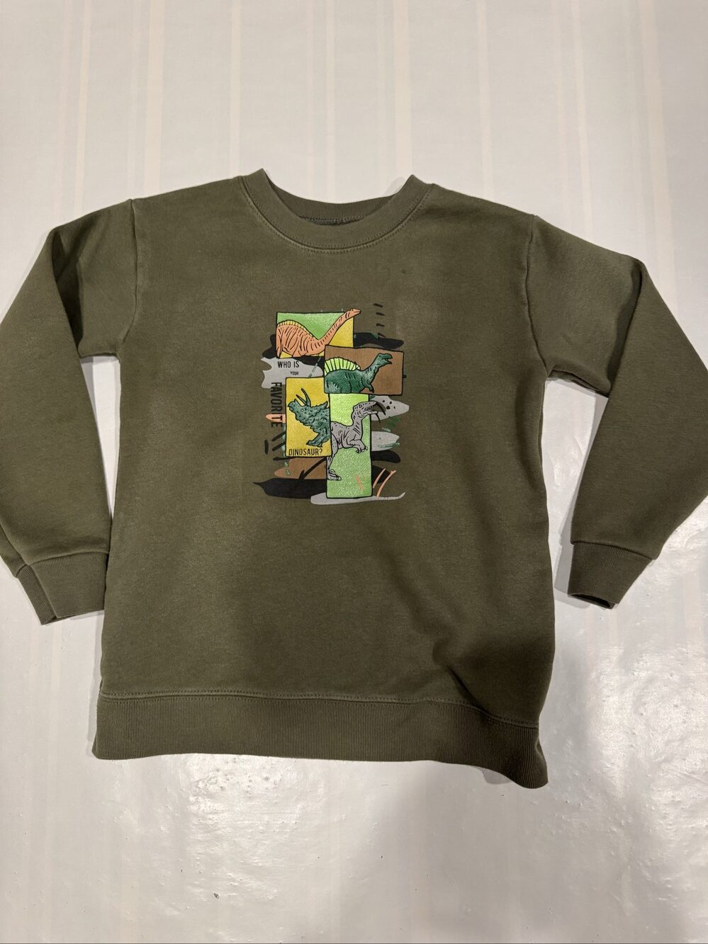 Boys’ Garanimals Dinosaur Graphic Crewneck Sweatshirt – Olive Green – 5T